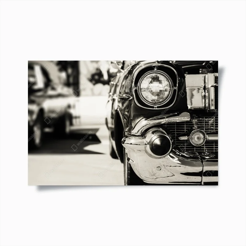 Poster monochrome palme aus der froschperspektive – Wallnifity®