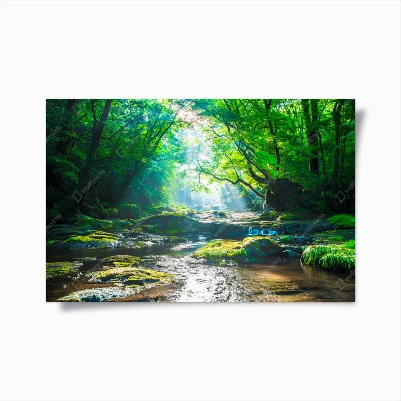 Poster sonnendurchfluteter waldbach mit moosbedeckten steinen – Wallnifity® Poster sonnendurchfluteter waldbach mit moosbedeckten steinen – Wallnifity®