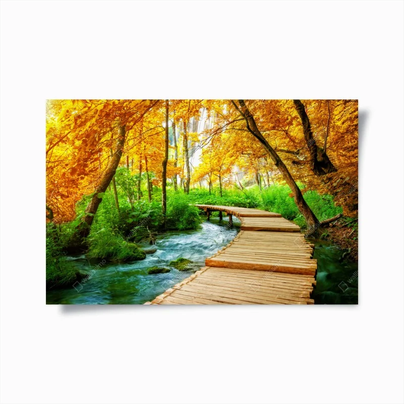 Poster nebeliger kiefernwald – Wallnifity®