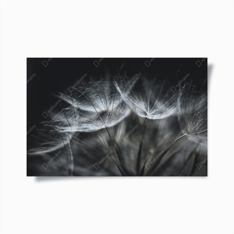 Poster blaue und goldene abstrakte blasen – Wallnifity®