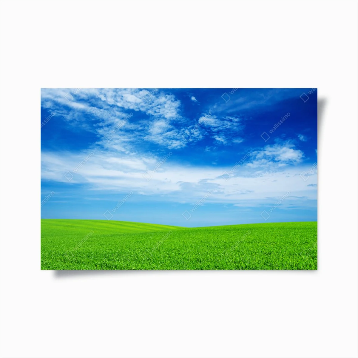 Poster grüne wiese unter blauem himmel – Wallnifity®