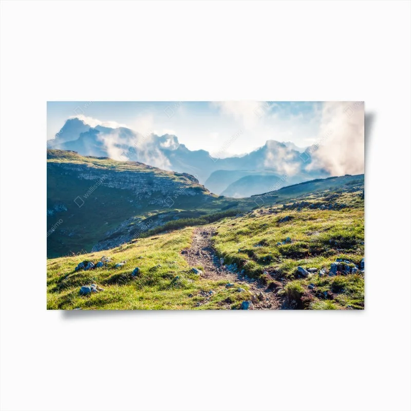 Poster elegante weiße calla auf schwarzem hintergrund – Wallnifity®