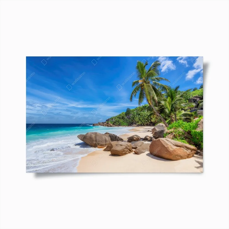 Poster goldener sonnenuntergang über sanddünen – Wallnifity®