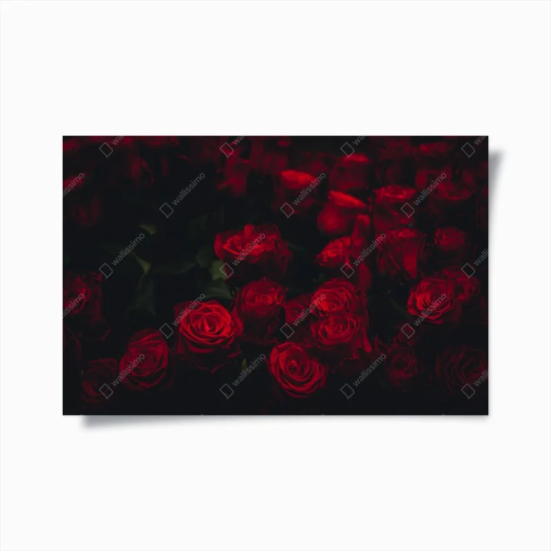 Poster dunkler rosenstrauß