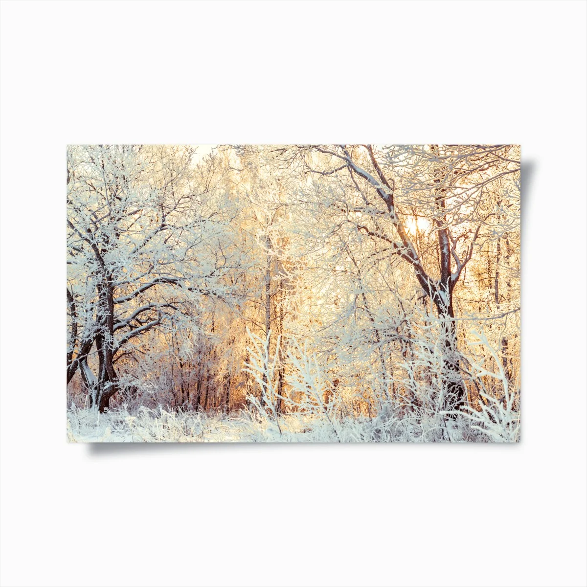 Poster wintersonne im verschneiten wald – Wallnifity®