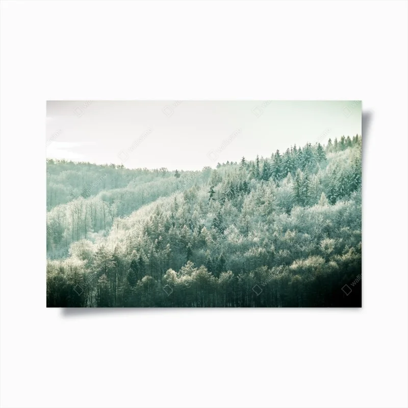 Poster nebliger reifbedeckter wald