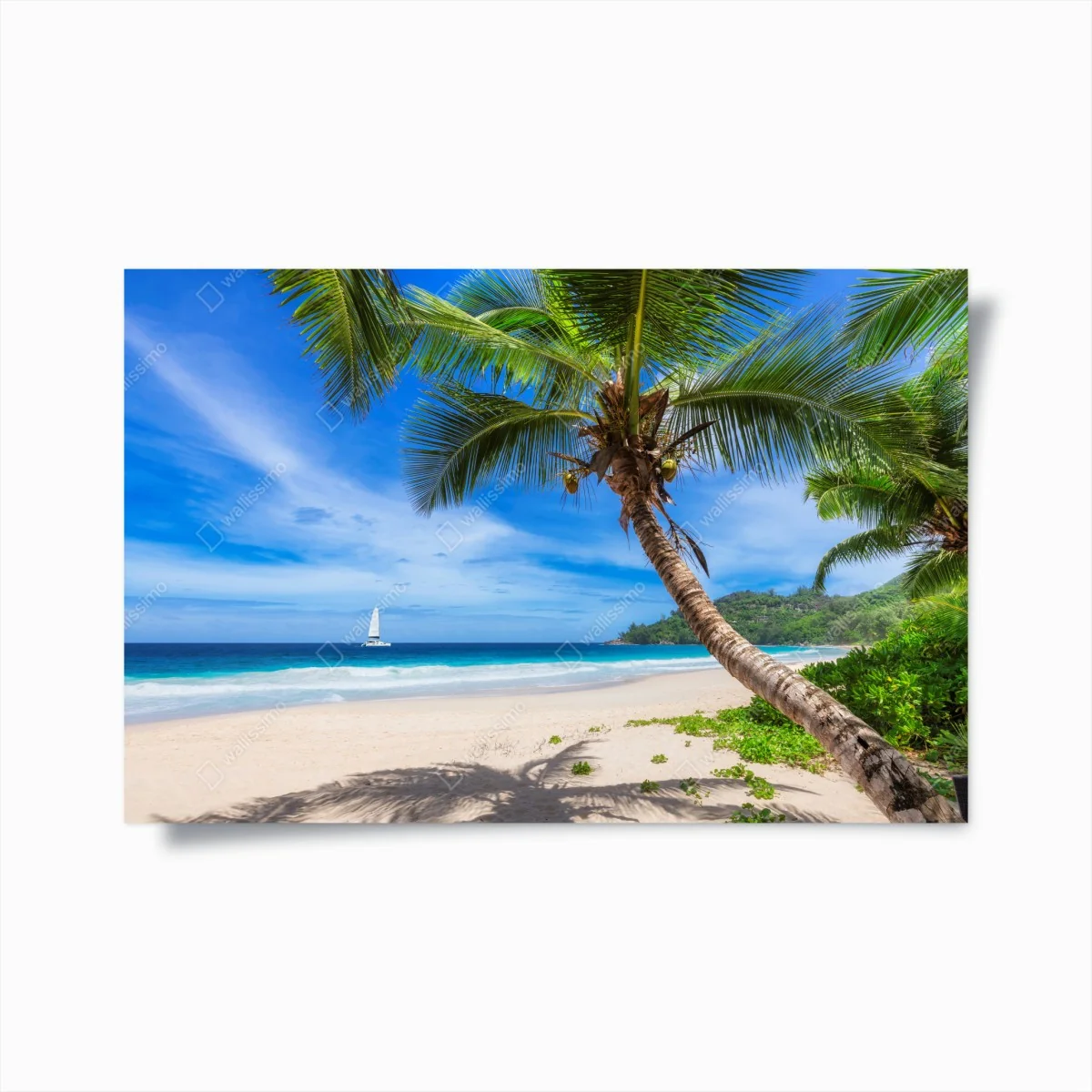 Poster tropischer strand mit palme – Wallnifity®