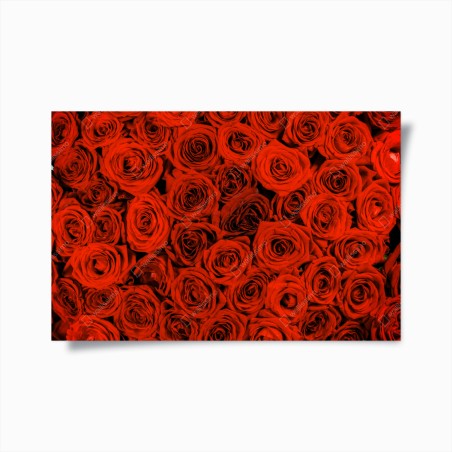 Poster prächtiger strauß roter rosen – Wallnifity®