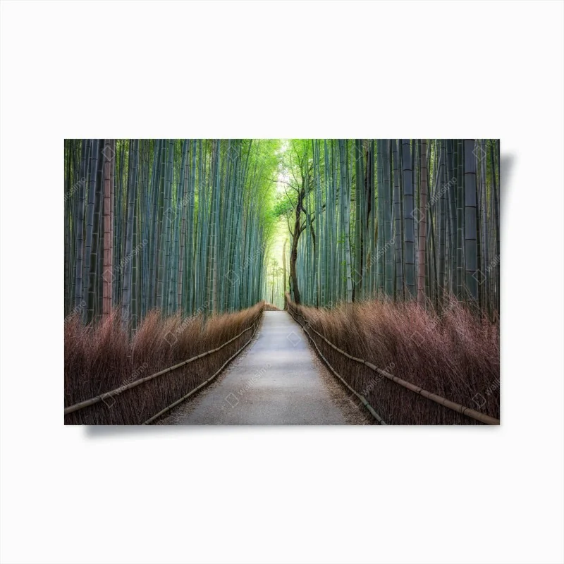 Poster ruhiger bambuswaldweg
