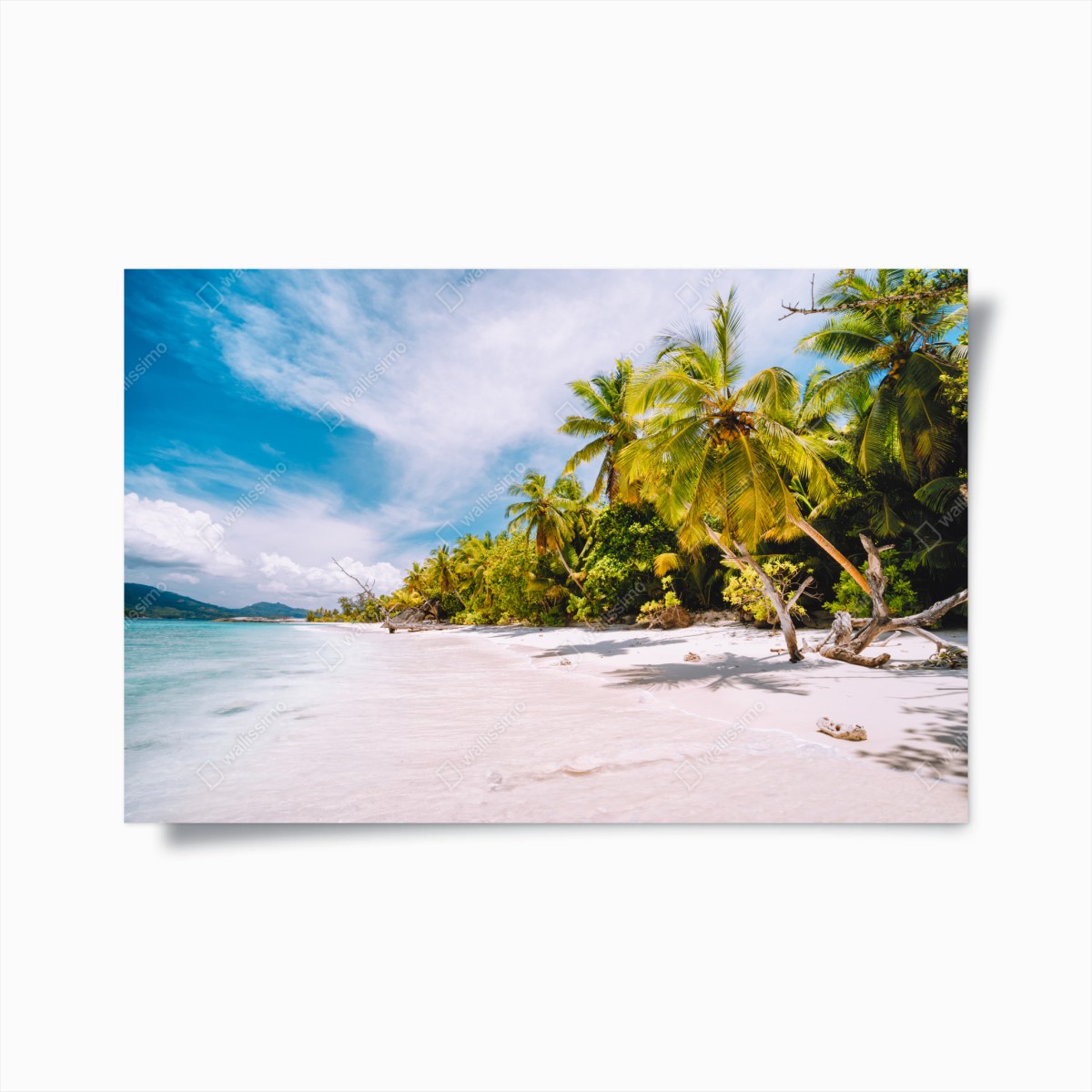 Poster tropischer strandidyll mit palmen – Wallnifity®