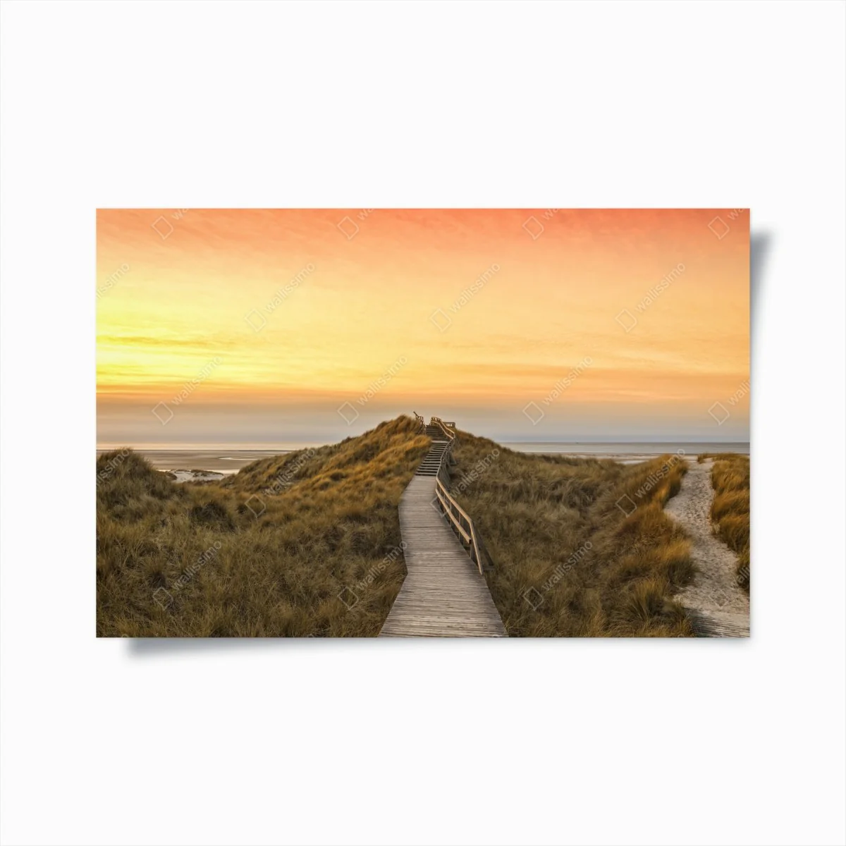 Poster sonnenuntergang am strand von Amrum – Wallnifity®