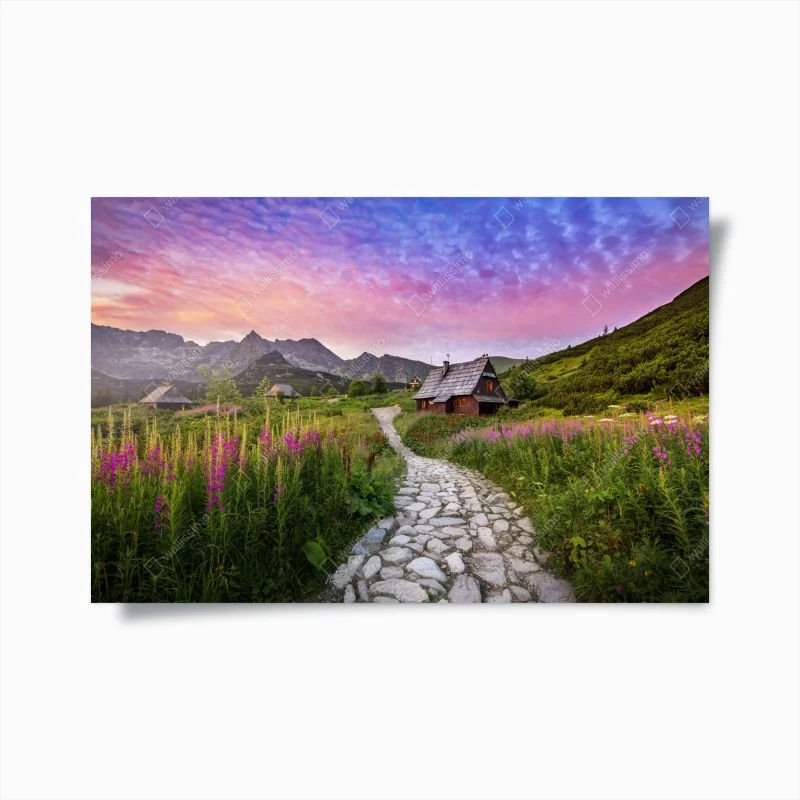 Poster nebeliger kiefernwald – Wallnifity®