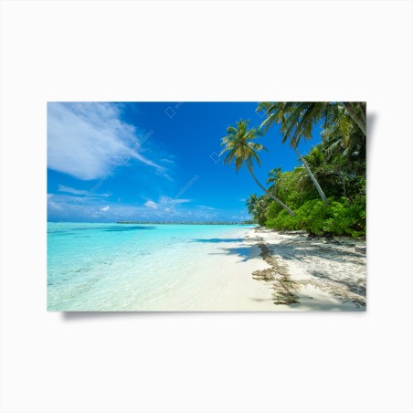 Poster tropischer strand auf den Malediven – Wallnifity®