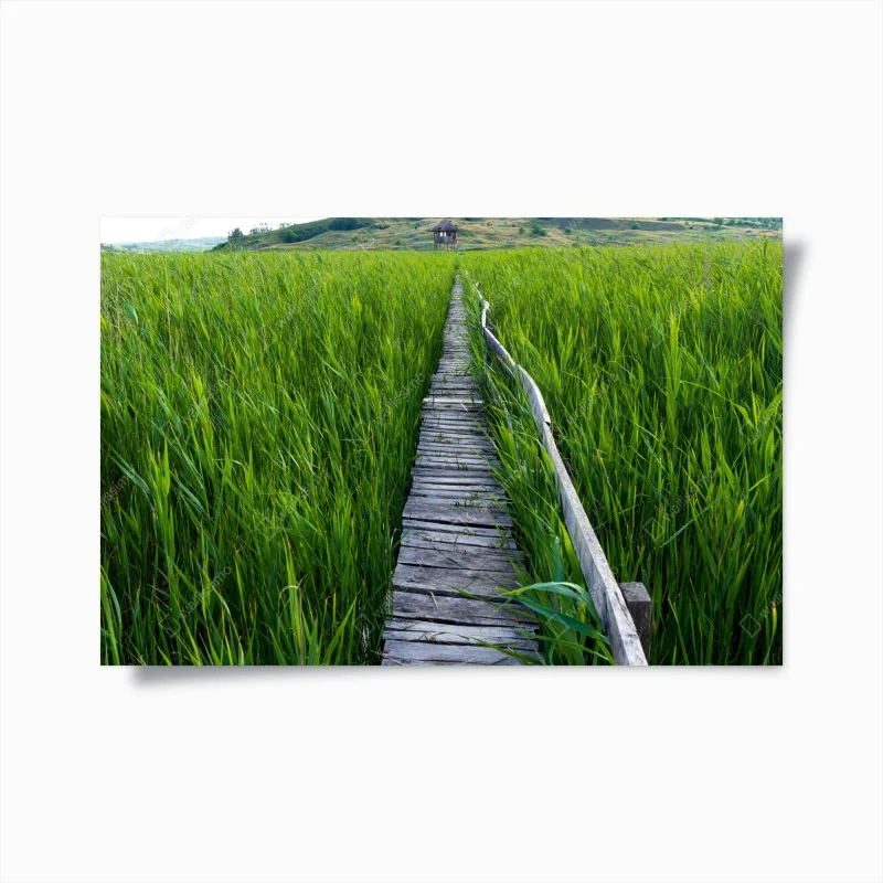 Poster blauer marmor mit goldenen adern – Wallnifity®