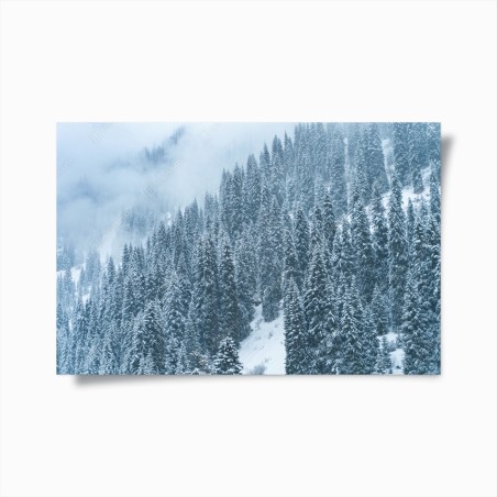 Poster nebeliger schneebedeckter kiefernwald – Wallnifity®