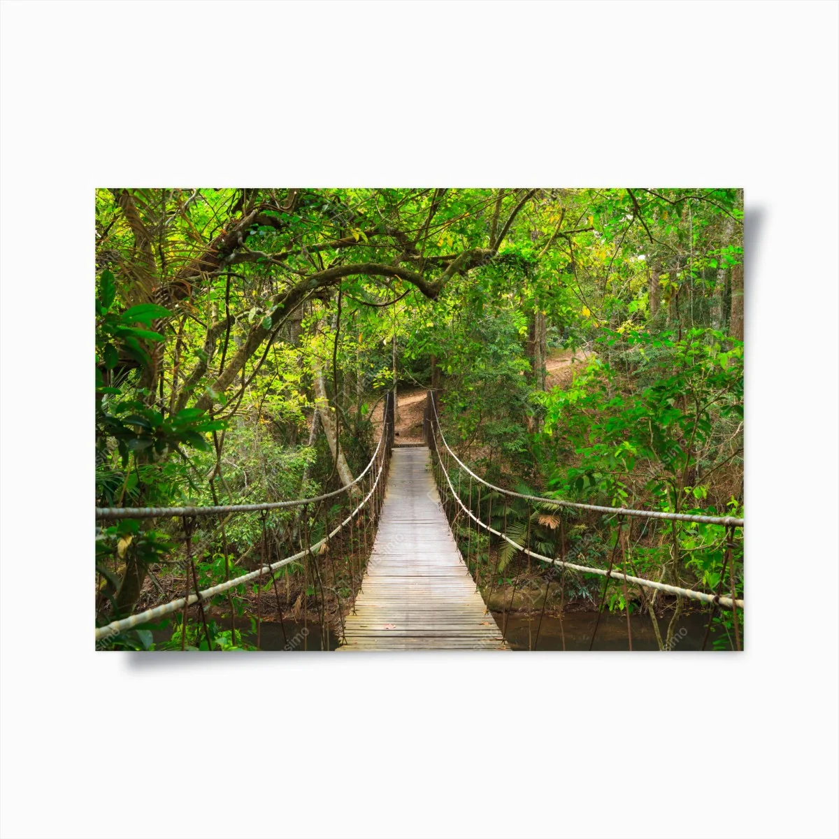 Poster hängende holzbrücke im grünen wald – Wallnifity®