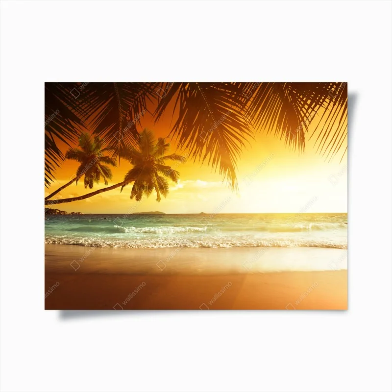 Poster sonniger landeweg durch gelbe felder – Wallnifity®