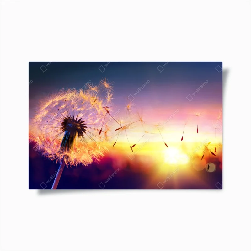 Poster goldener sonnenuntergang über sanddünen – Wallnifity®