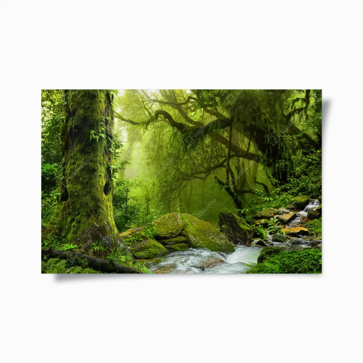 Poster verzauberter grüner waldbach – Wallnifity® Poster verzauberter grüner waldbach – Wallnifity®