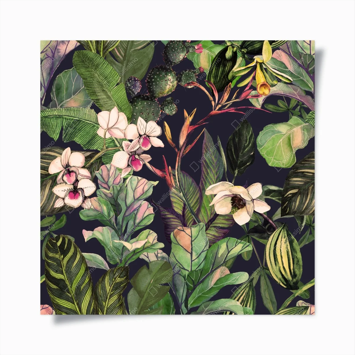 Poster tropisches aquarell botanikmuster – Wallnifity®