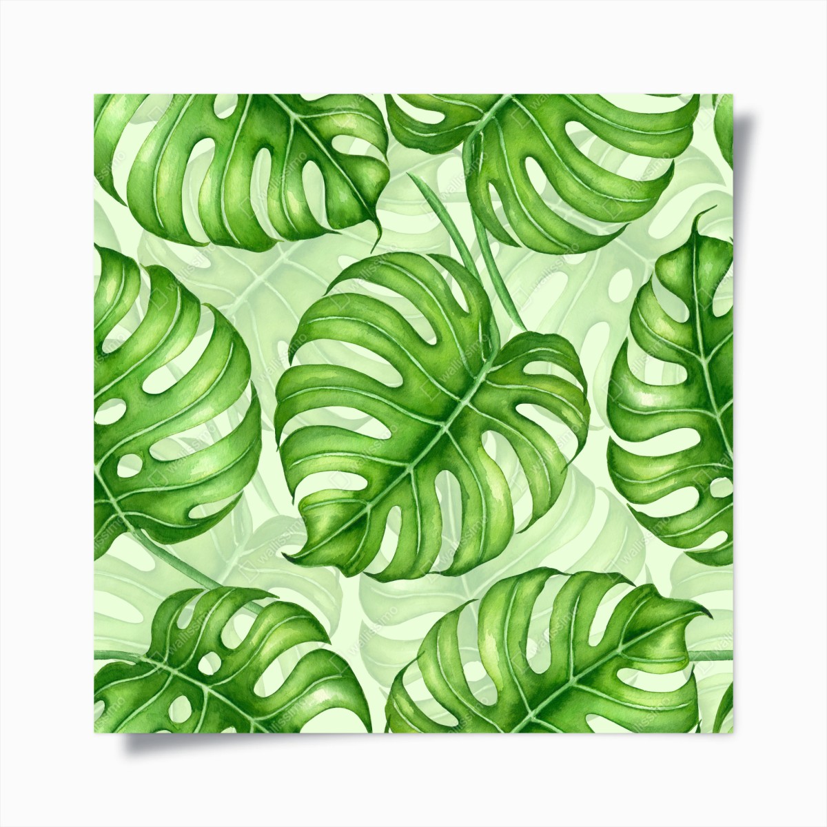 Poster aquarell monstera blättermuster – Wallnifity®