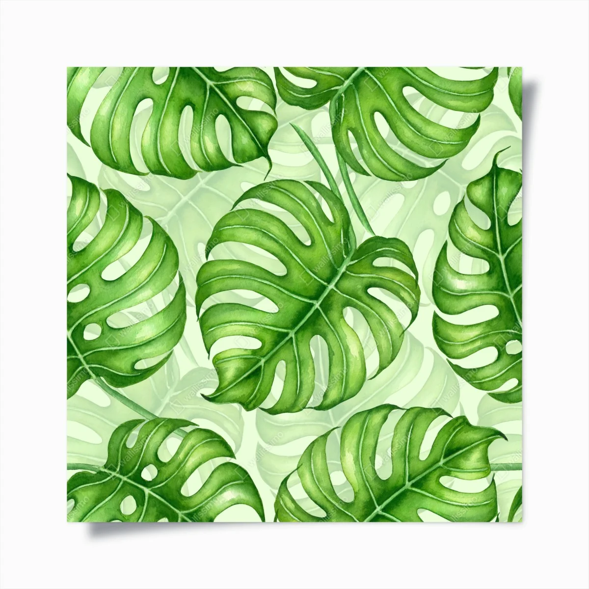 Poster aquarell monstera blättermuster – Wallnifity®