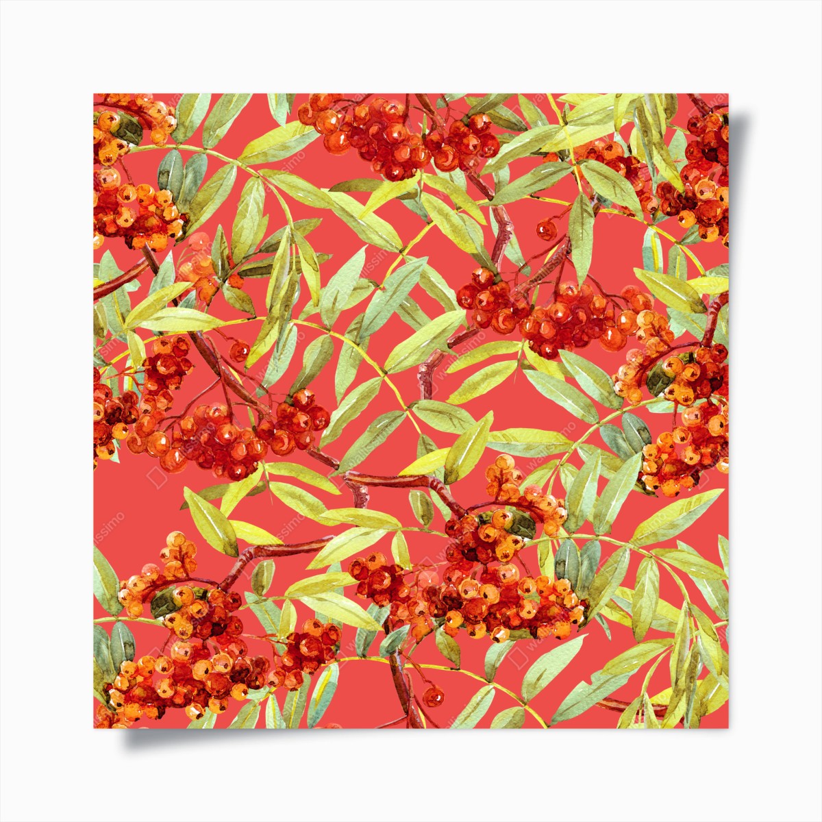 Poster aquarellmuster mit vogelbeeren – Wallnifity®