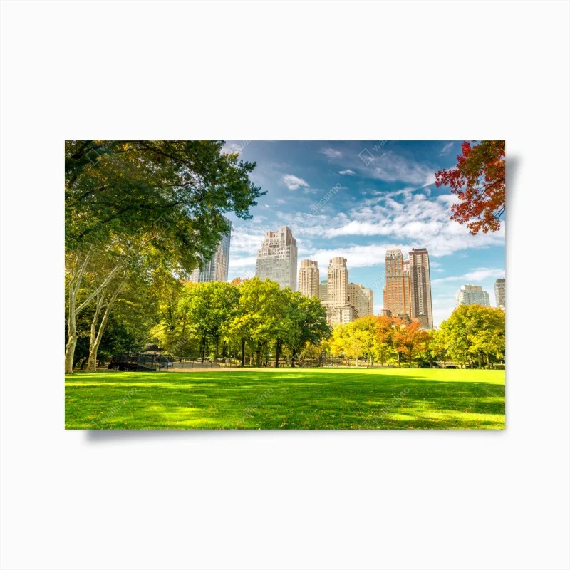 Poster Central Park herbst panorama
