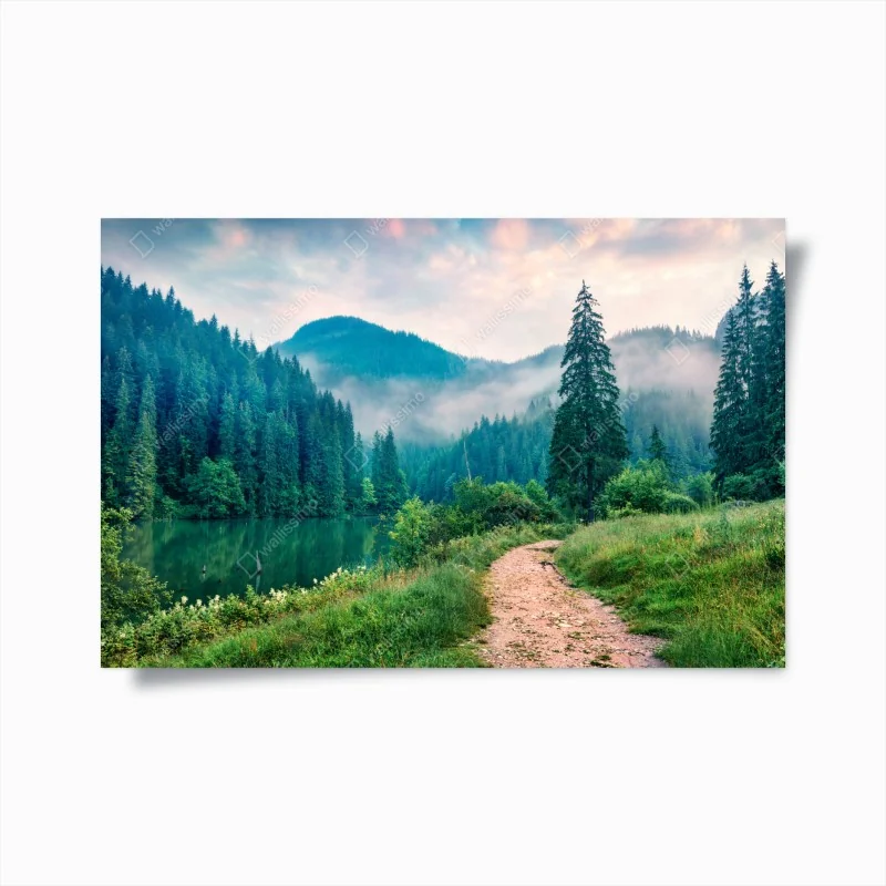 Poster zartes gelbes schleierkraut auf schwarzem hintergrund – Wallnifity®