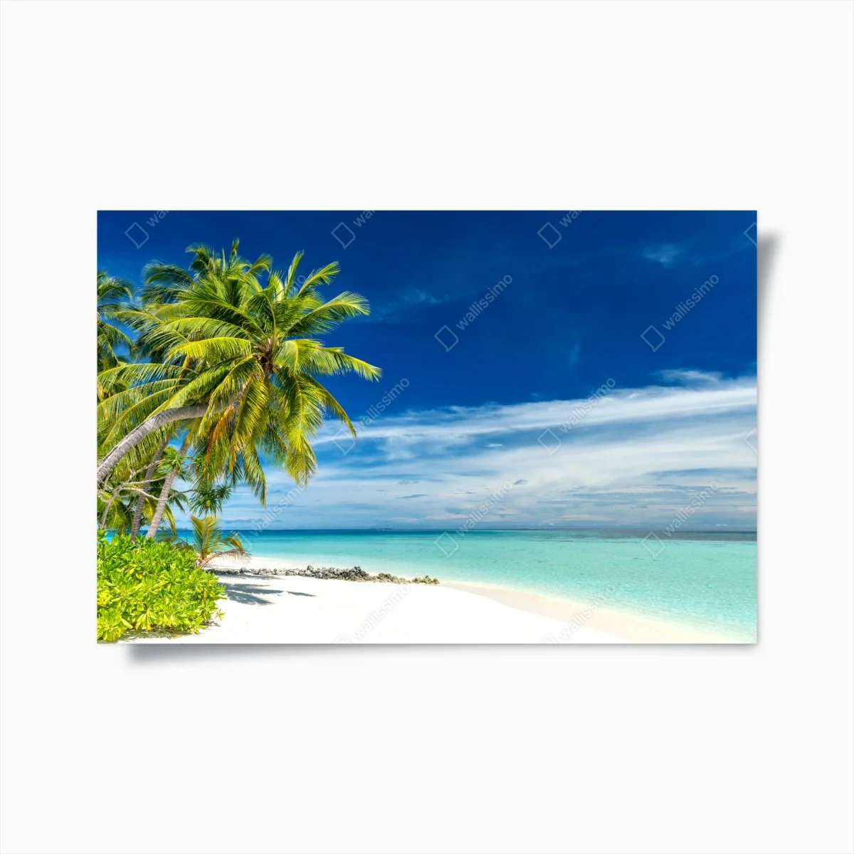 Poster tropischer türkisstrand – Wallnifity®