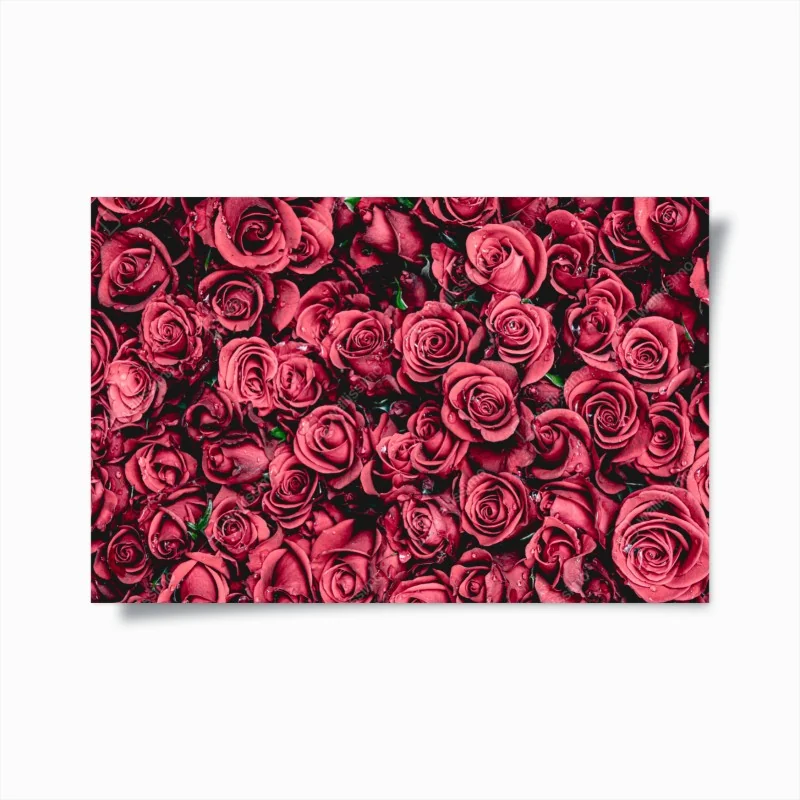 Poster pralle rote rosen wandbild