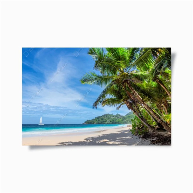 Poster tropischer strand mit palmen und segelboot