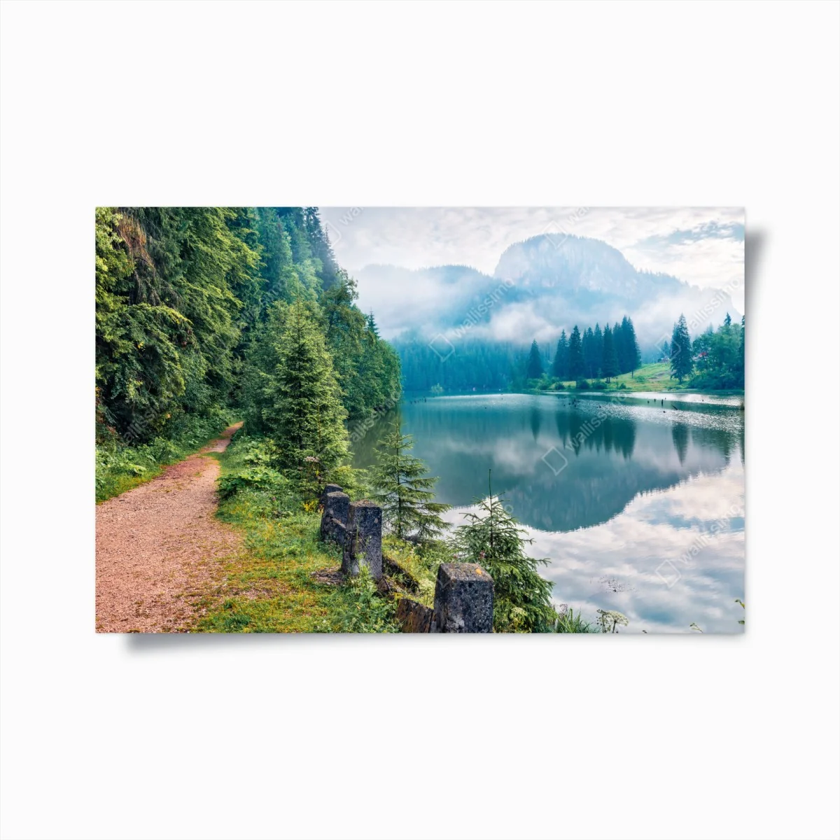 Poster nebliger morgen am Lacu Rosu – Wallnifity®