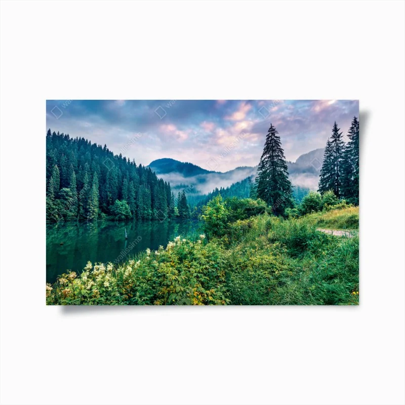 Poster rote farbtröpfchen auf weißem ei – Wallnifity®