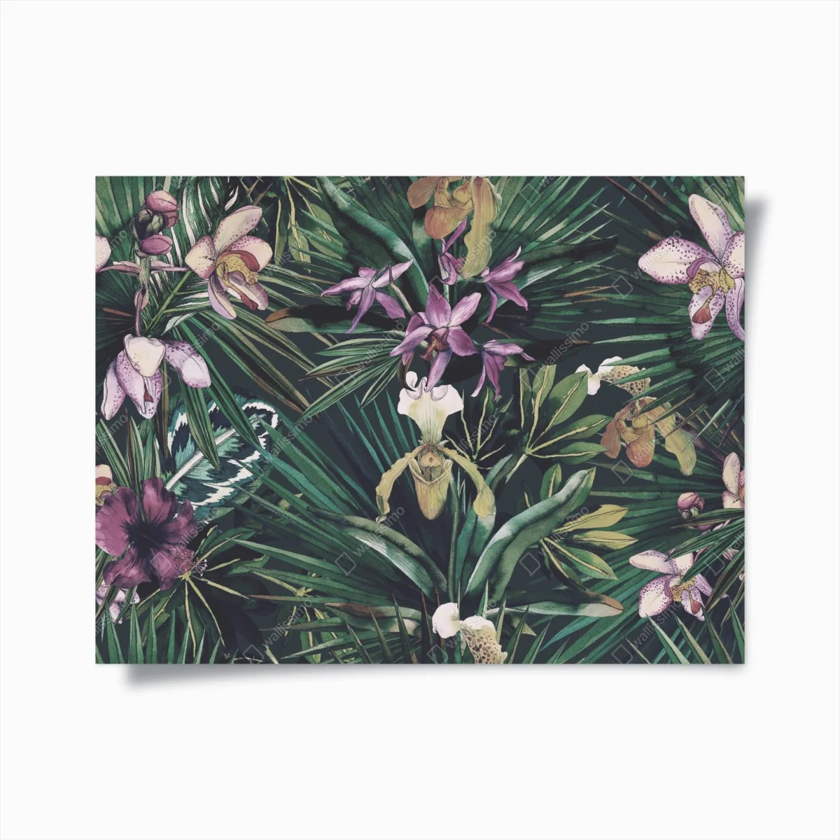Poster tropische orchideen in aquarell und palmblättern – Wallnifity®