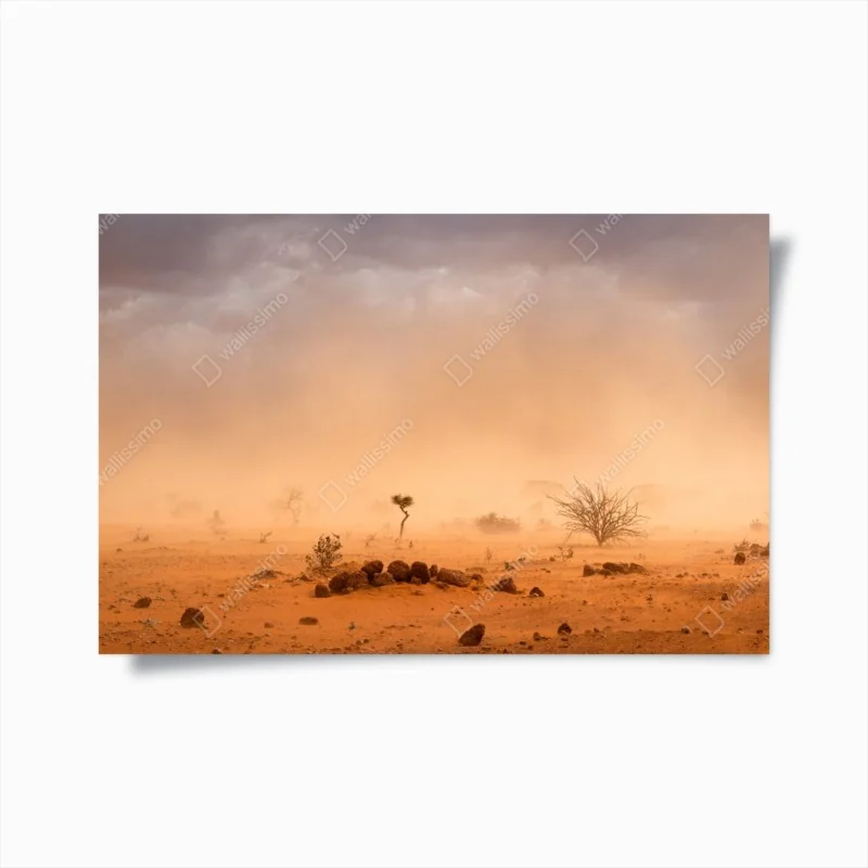 Poster grüner aloes auf rosa hintergrund – Wallnifity®