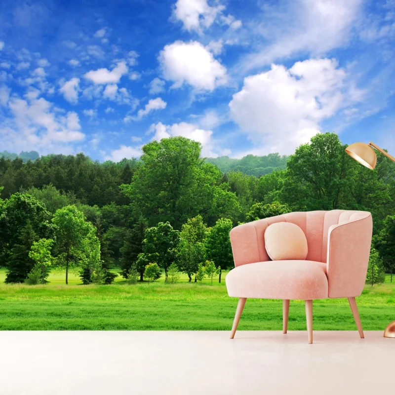 Fototapete sommerlicher grüner wald unter blauem himmel – Wallnifity®