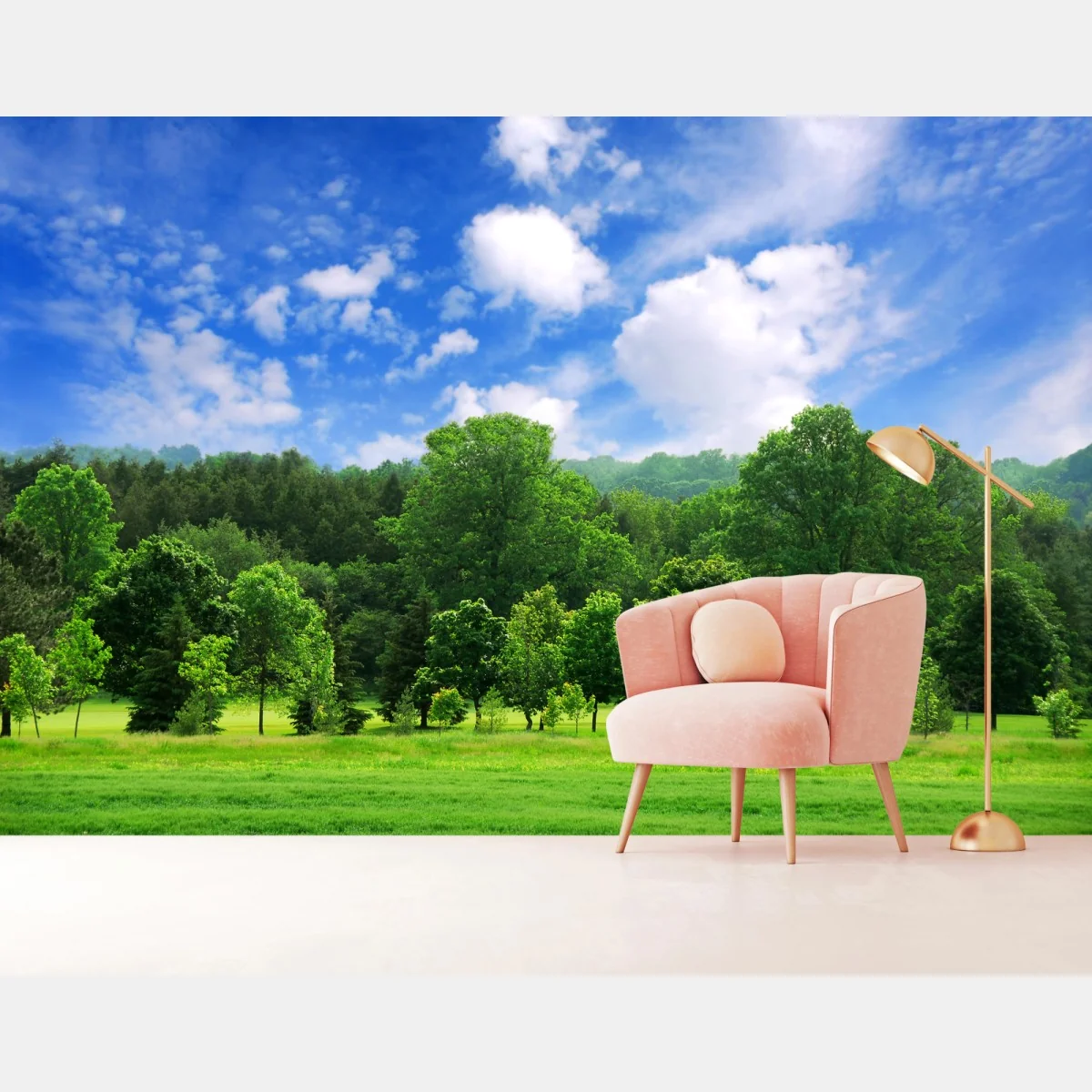 Fototapete sommerlicher grüner wald unter blauem himmel – Wallnifity®