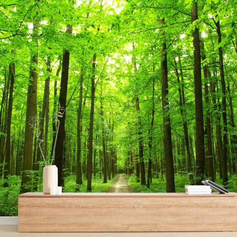 Fototapete ruhiger waldpfad