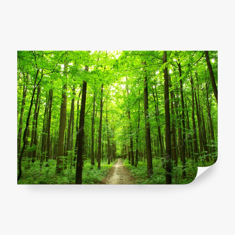 Fototapete verspielte weltkarte mit tieren – Wallnifity®