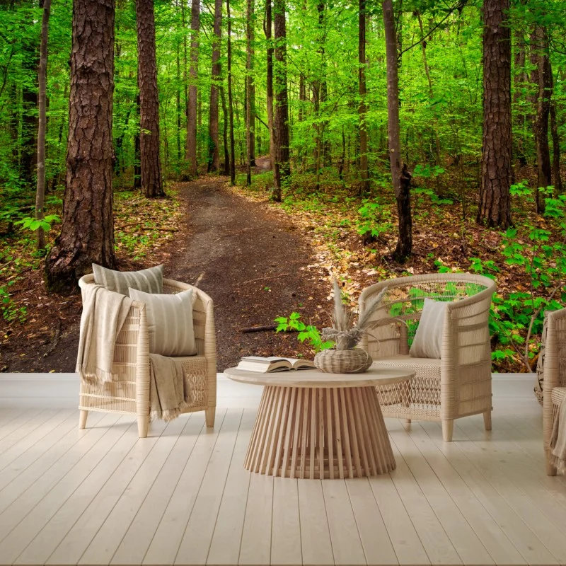 Fototapete ruhiger grüner waldpfad