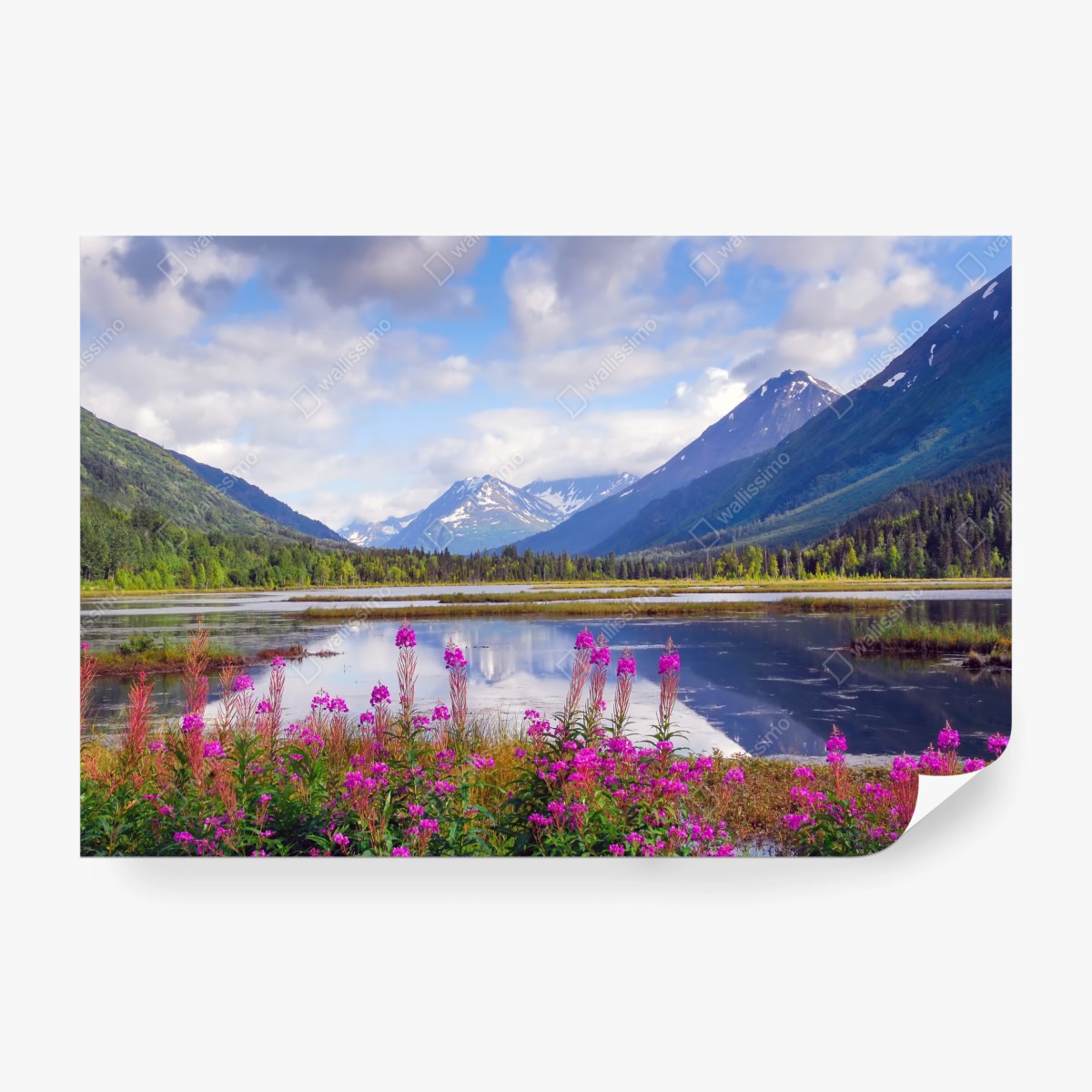 Fototapete Tern Lake spiegelungen, berglandschaft aus Alaska – Wallnifity® Fototapete Tern Lake spiegelungen, berglandschaft aus Alaska – Wallnifity®