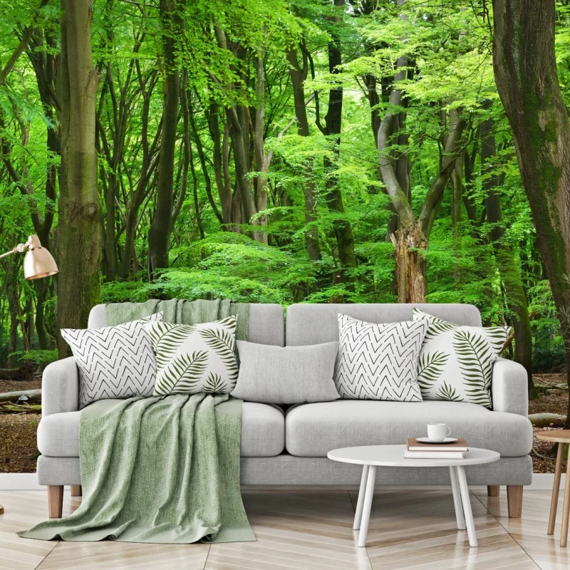 Fototapete ruhige grüne waldkrone