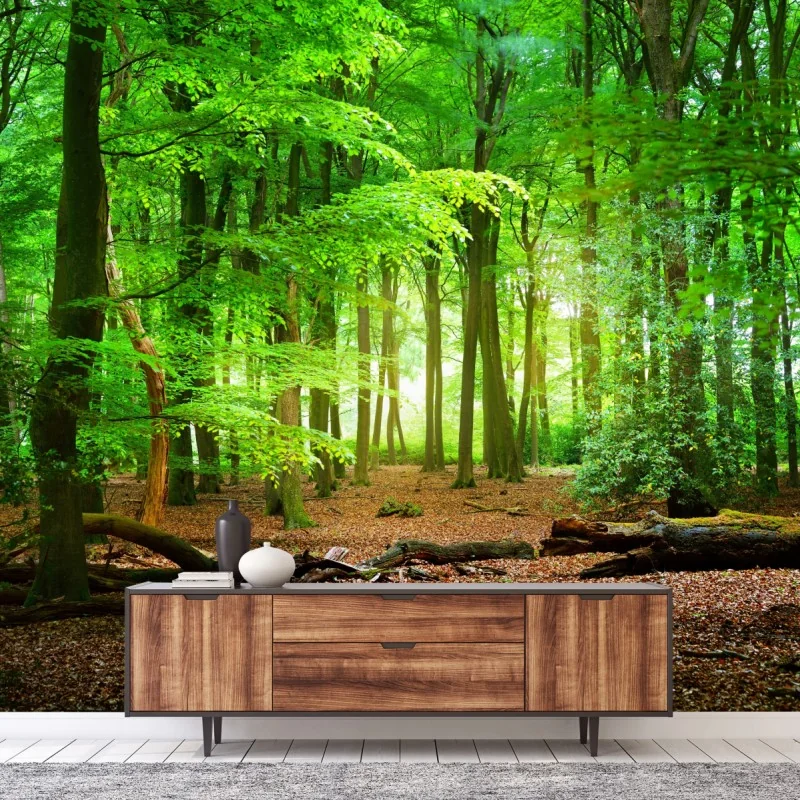 Fototapete sonnendurchfluteter grüner wald – Wallnifity® Fototapete sonnendurchfluteter grüner wald – Wallnifity®