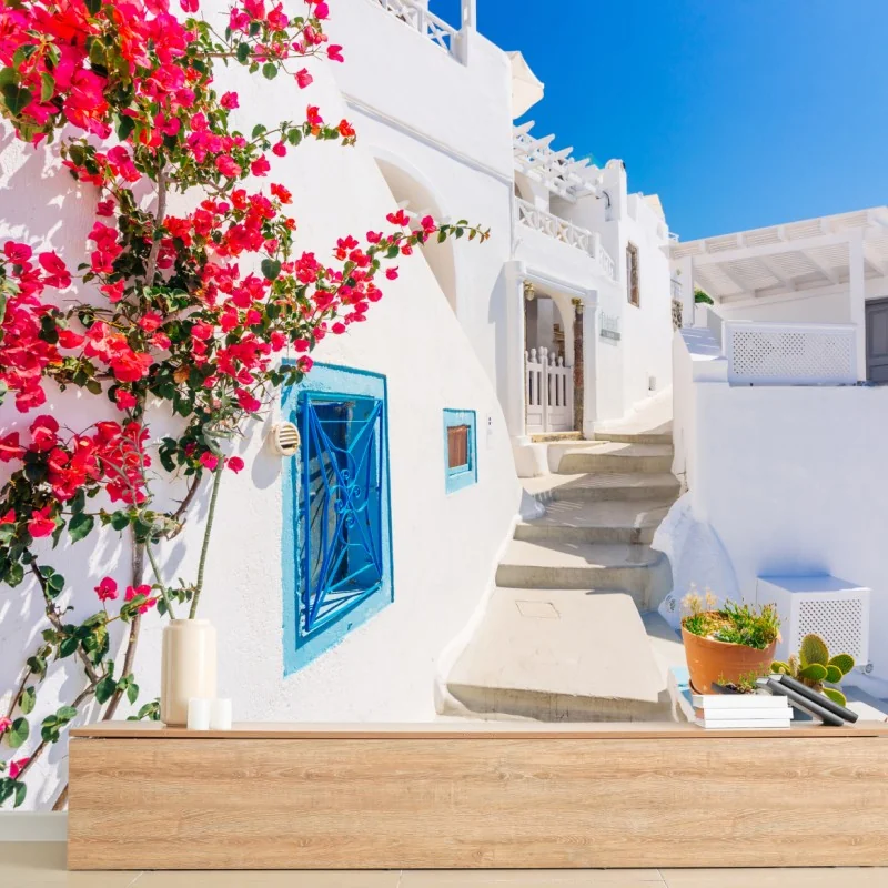 Fototapete Santorini weiße gasse mit bougainvillea