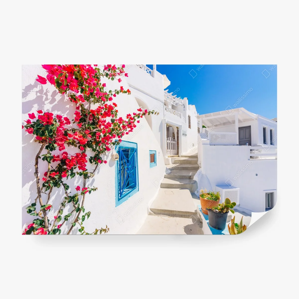 Fototapete Santorini weiße gasse mit bougainvillea – Wallnifity® Fototapete Santorini weiße gasse mit bougainvillea – Wallnifity®