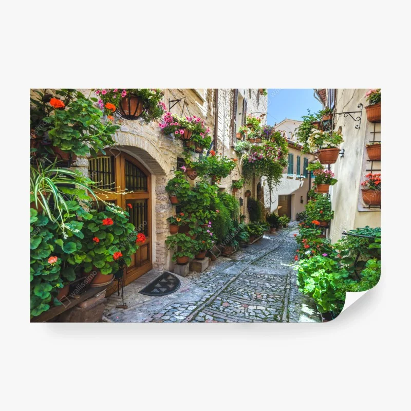 Fototapete charmante gasse in Spello, Italien