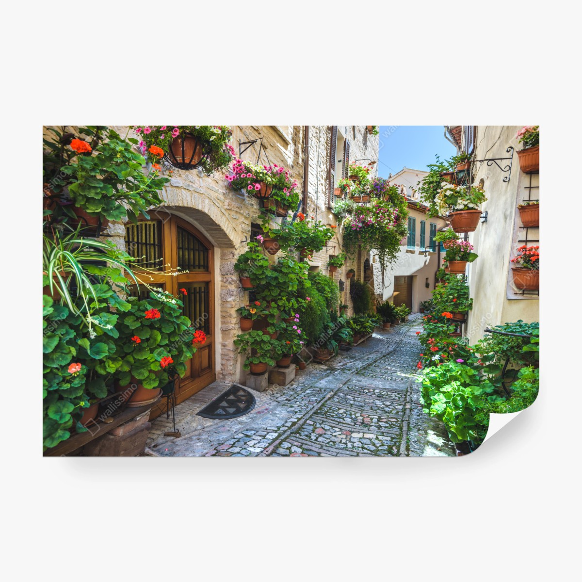 Fototapete charmante gasse in Spello, Italien – Wallnifity® Fototapete charmante gasse in Spello, Italien – Wallnifity®