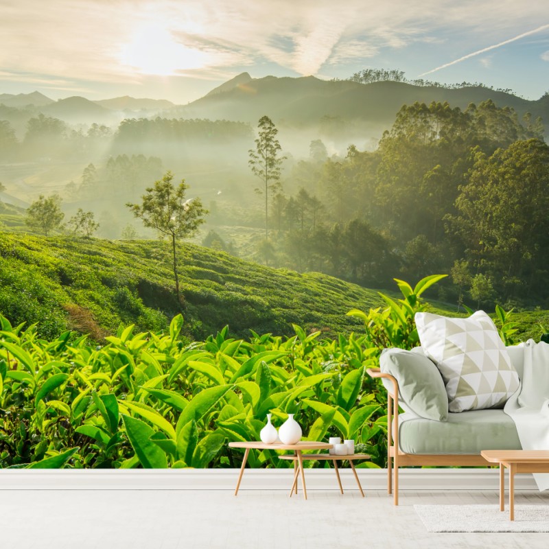 Fototapete sonnenaufgang über den teeplantagen von Munnar