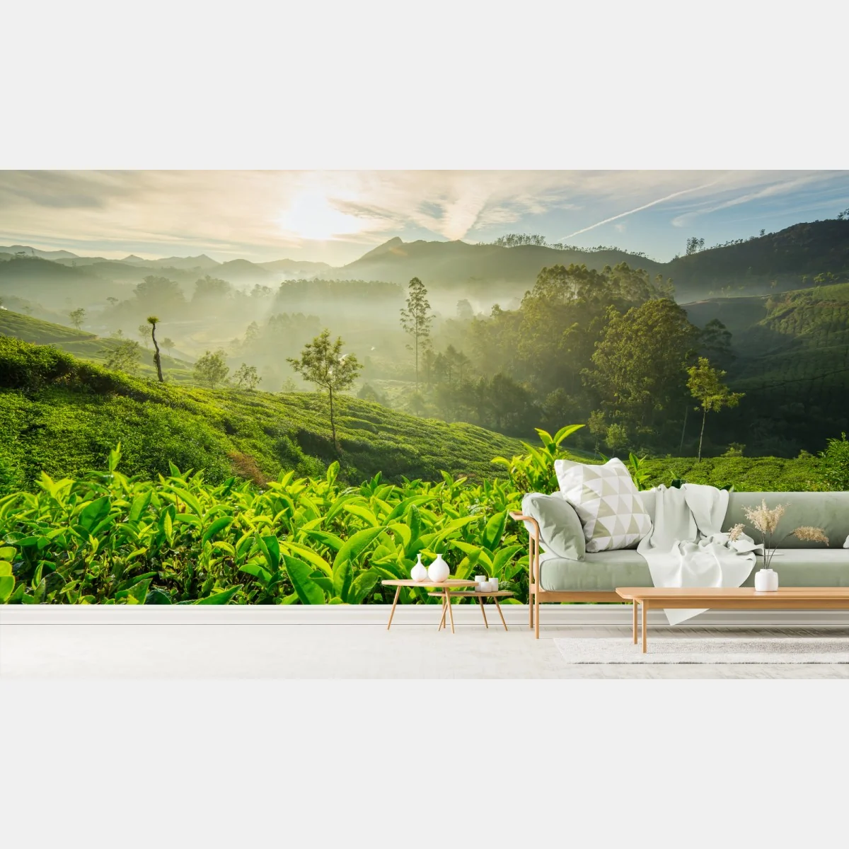 Fototapete sonnenaufgang über den teeplantagen von Munnar – Wallnifity®